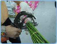 Atadora Manual